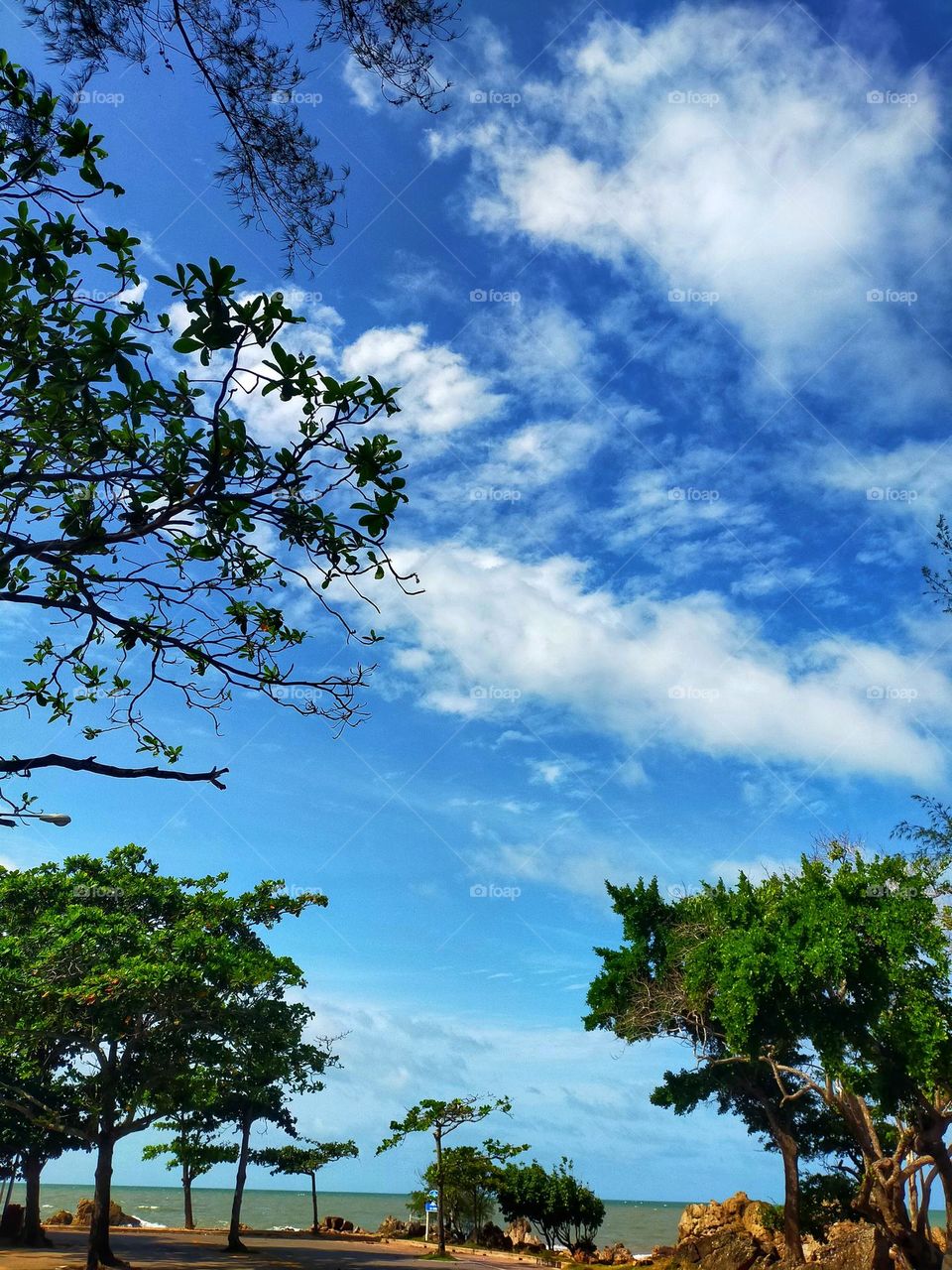 photography pictures of trees, mountains, cloves, rocks, sky, sea, sea