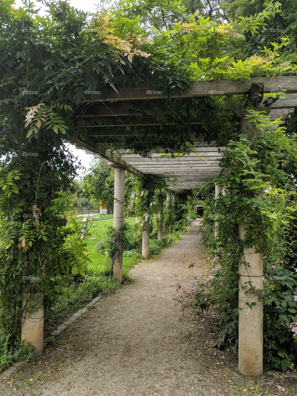 Europe European public garden arch walkway path overgrown with roses and flowering plants