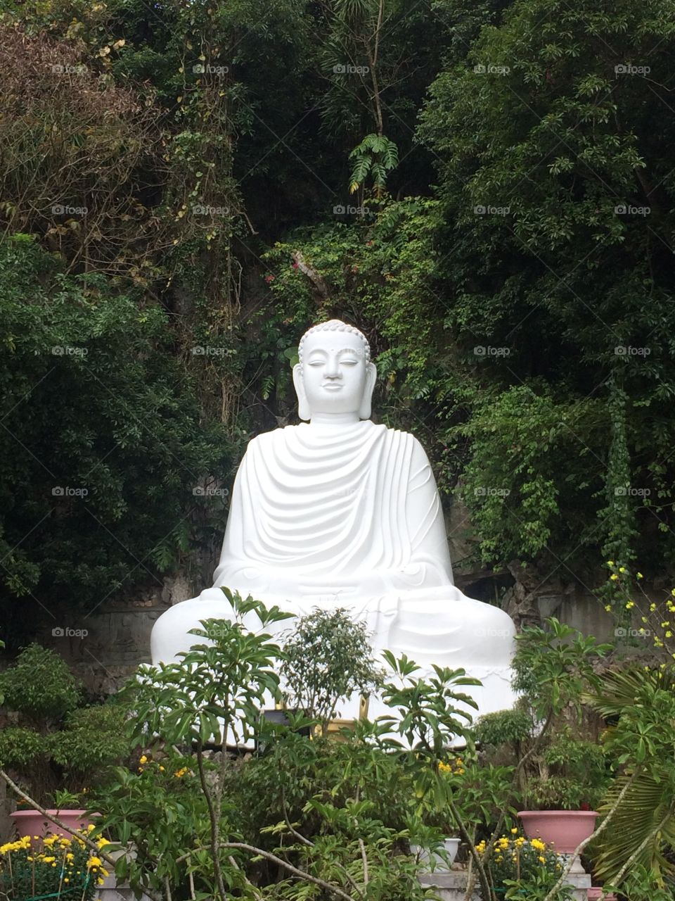 Buddha 