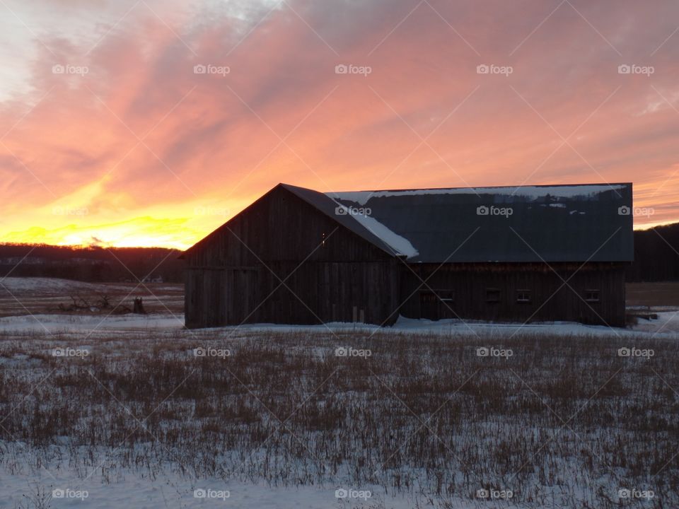 Northern Michigan 