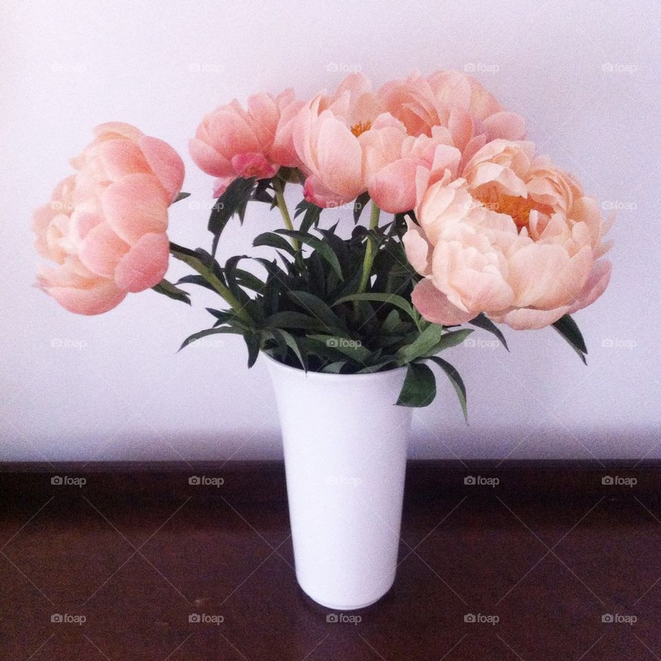 Peony flowers