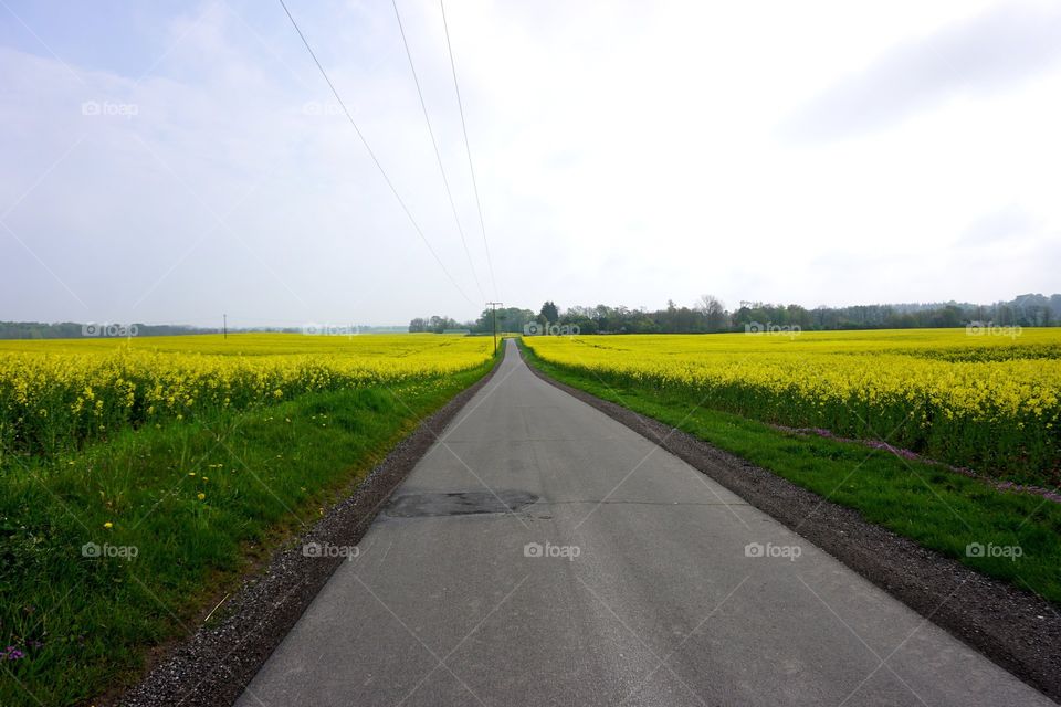 Yellow way