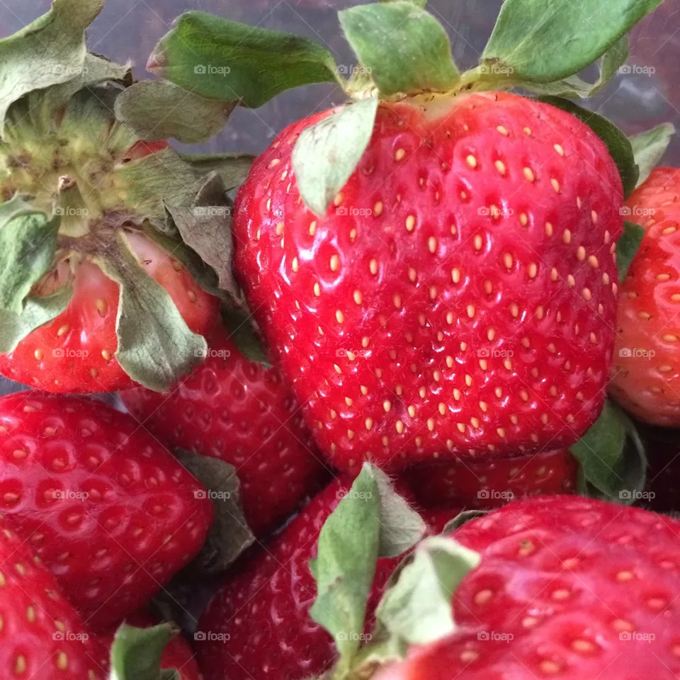 Fruit