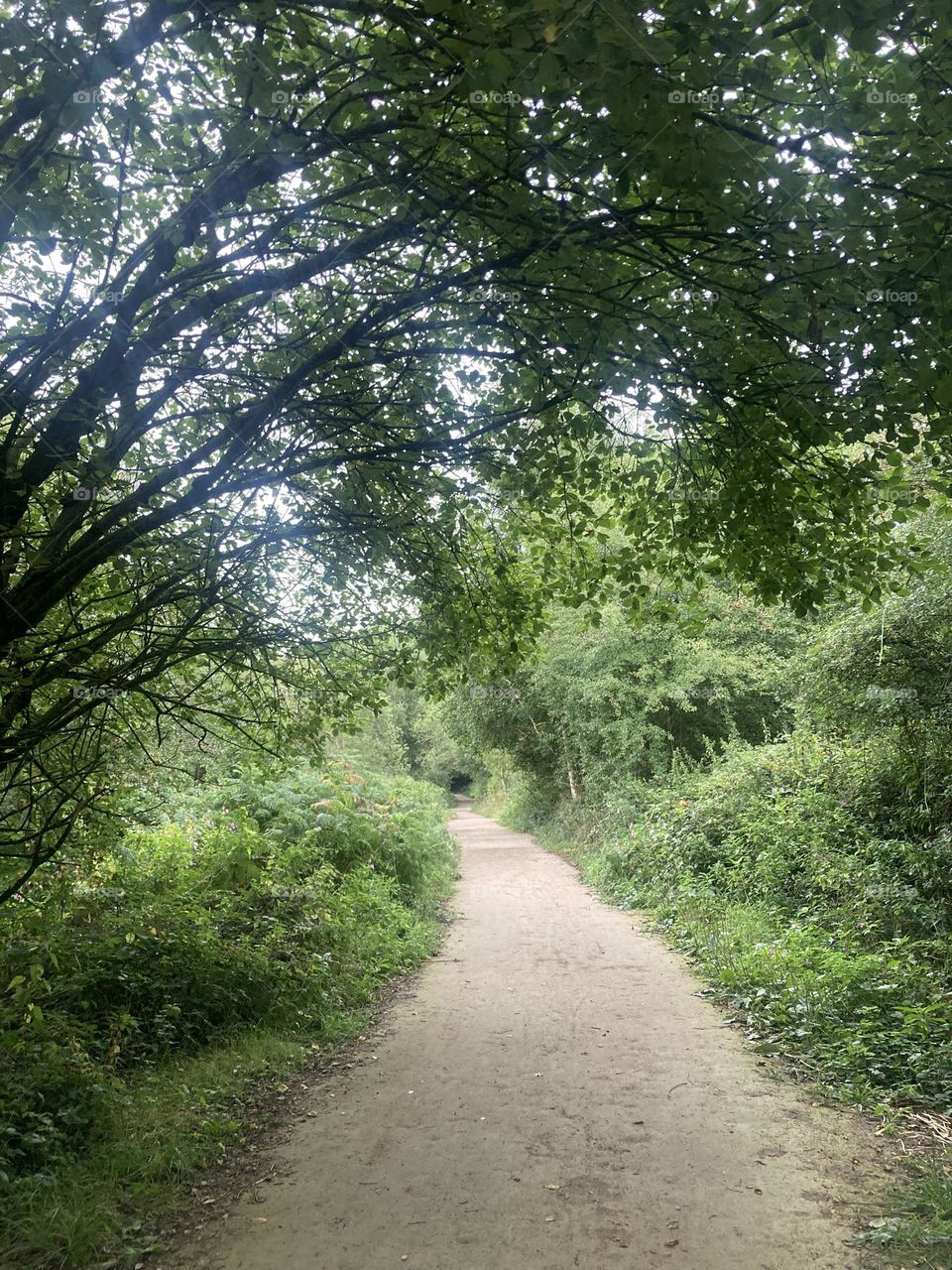 Walk in the countryside 