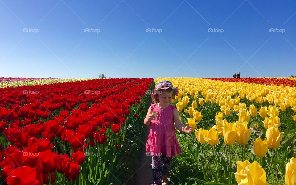 Girl in tulip paradise