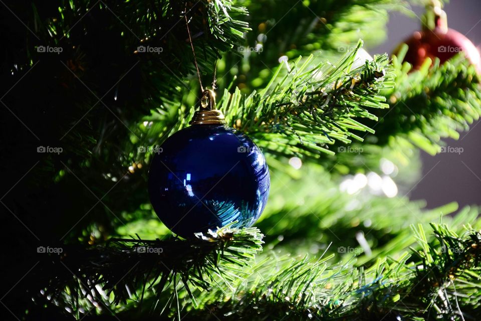 Christmas tree branch with blue sphere