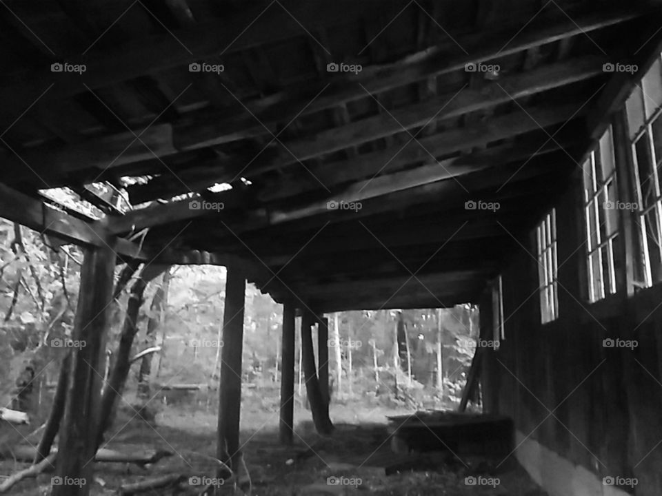 Abandoned Structure in the Woods
