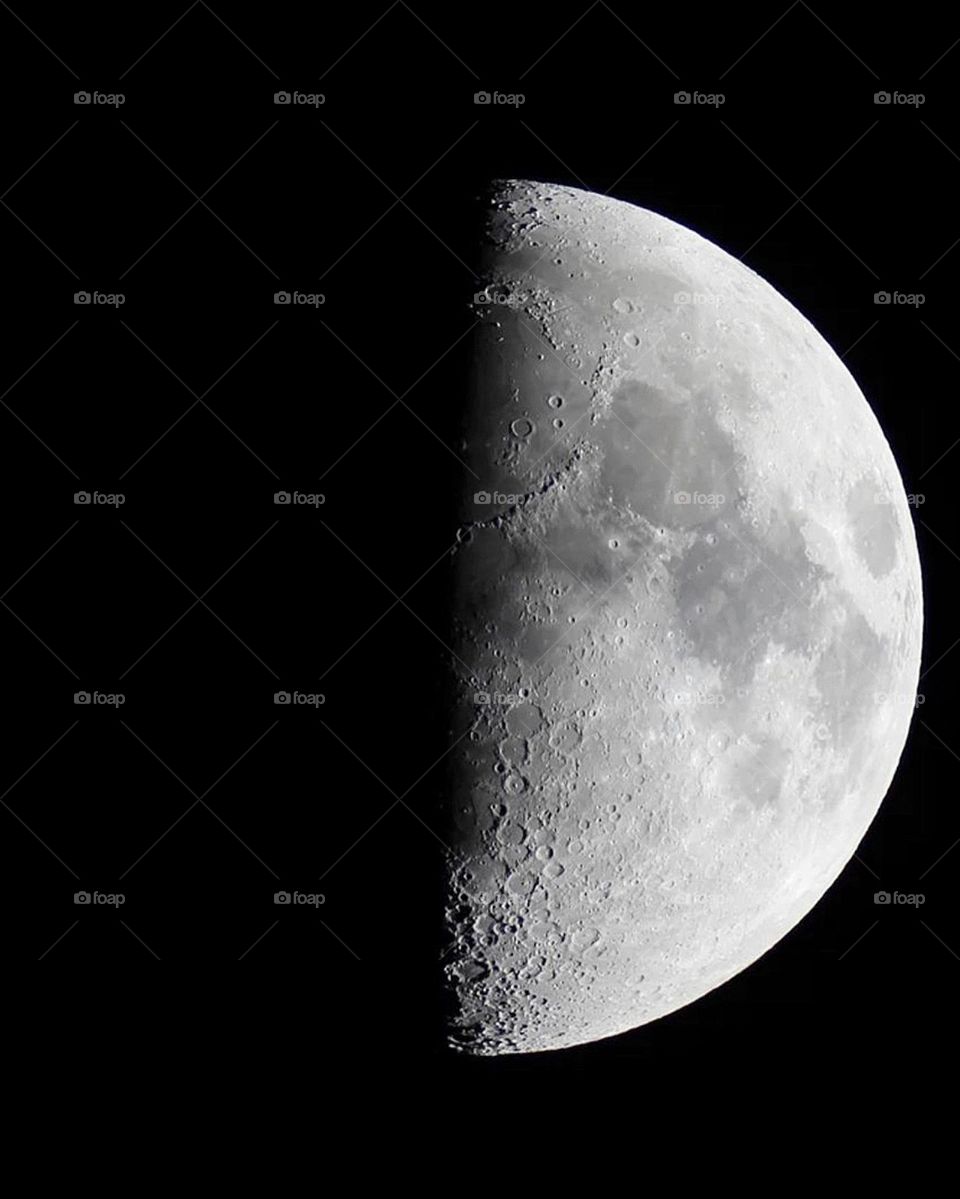 Luna loves the summer time 