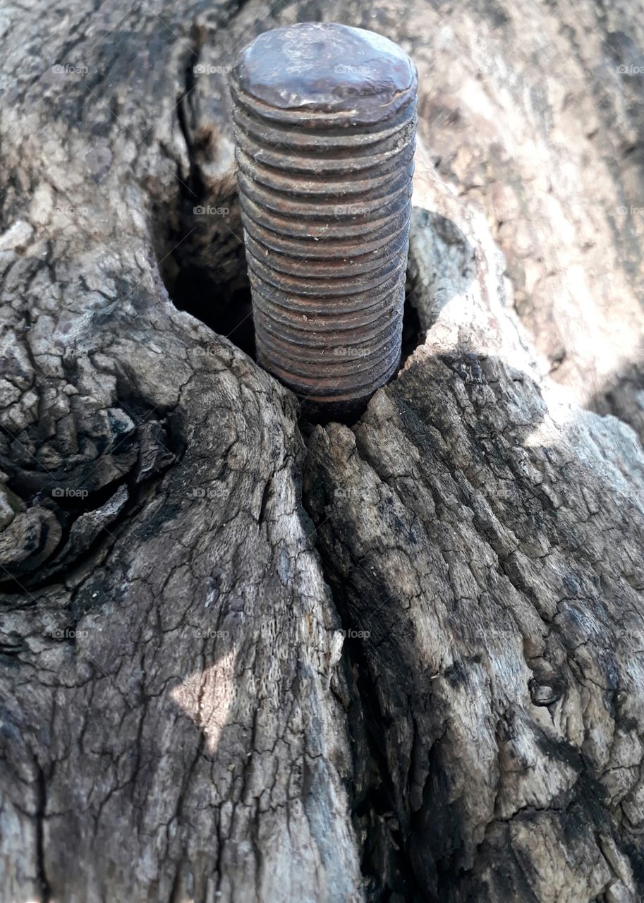 iron screw from wood