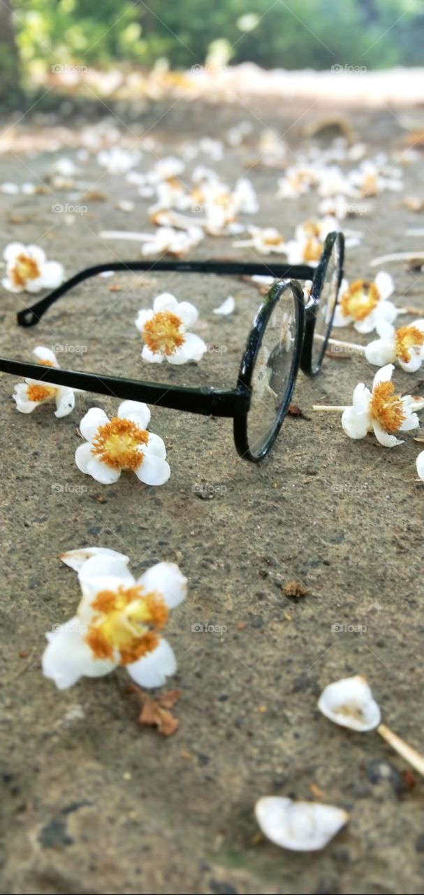 glasis and flower