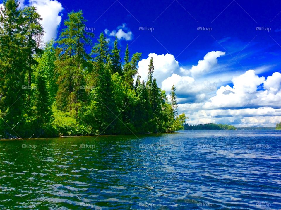 Scenic view of lake