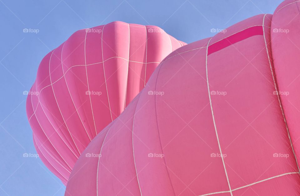 A hot air balloon festival in the winter creates a colorful scene. These two pink balloons soar.
