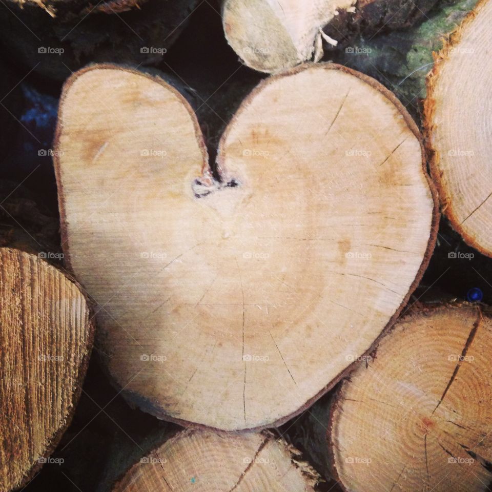 Heart shaped log
