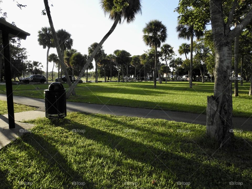 Central eastern Florida town park filled with trees and palm trees seen during sunset with a play of lights and shadows scenery on the grass.