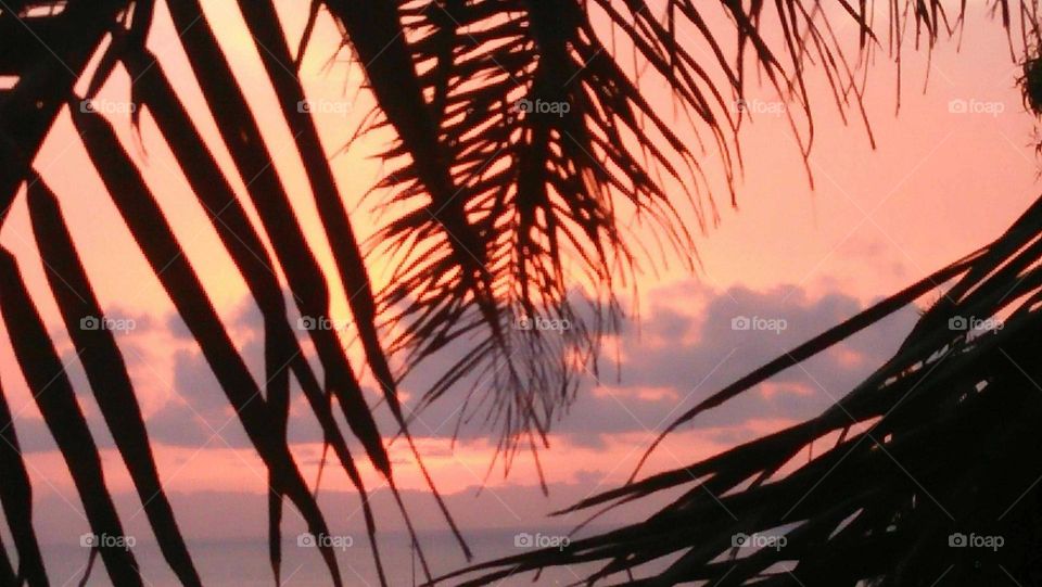 Magic and orange sunset.