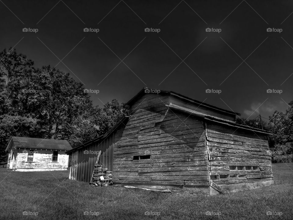 Barn and Son (the son is the white one on the left)