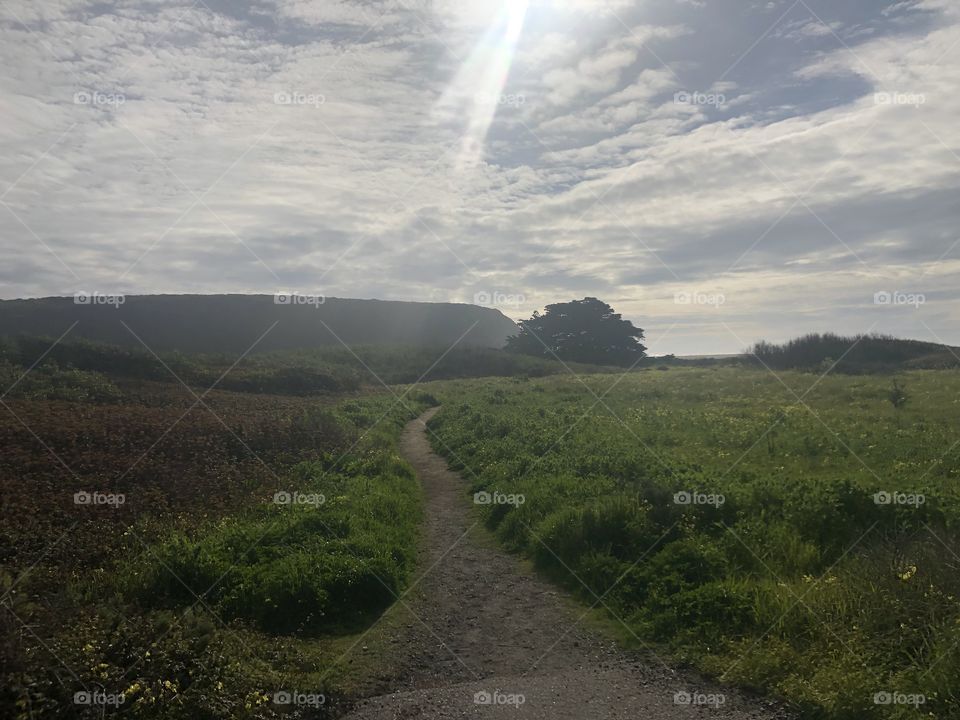 Secluded nature trail to the beach - Cambria CA