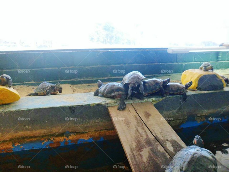 WAIT FOR ME TO GO UP! !