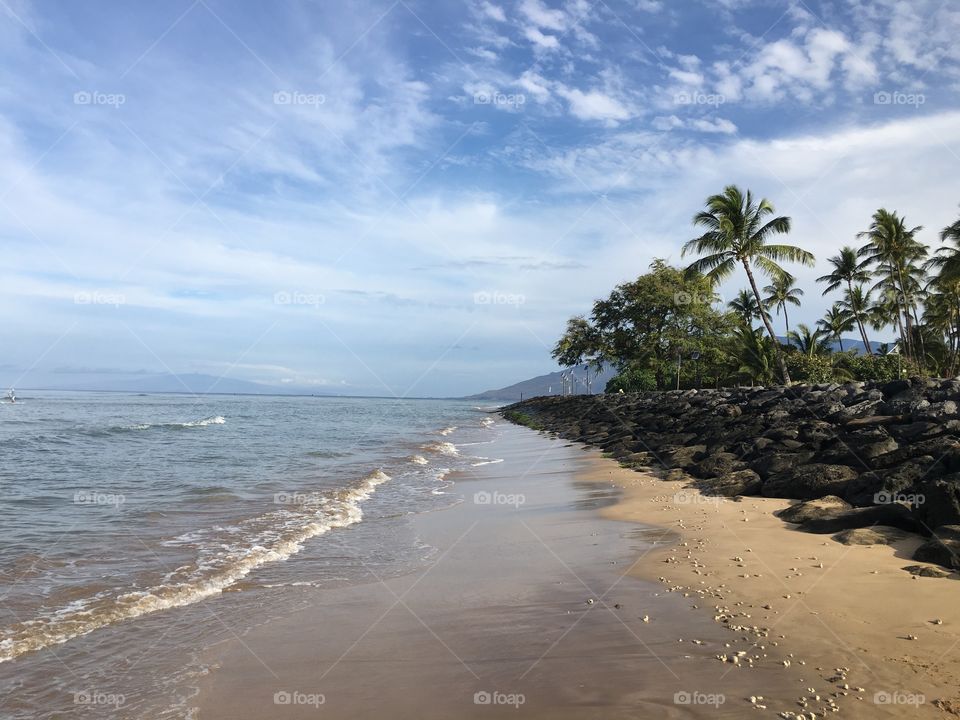 View of palm trees at beach