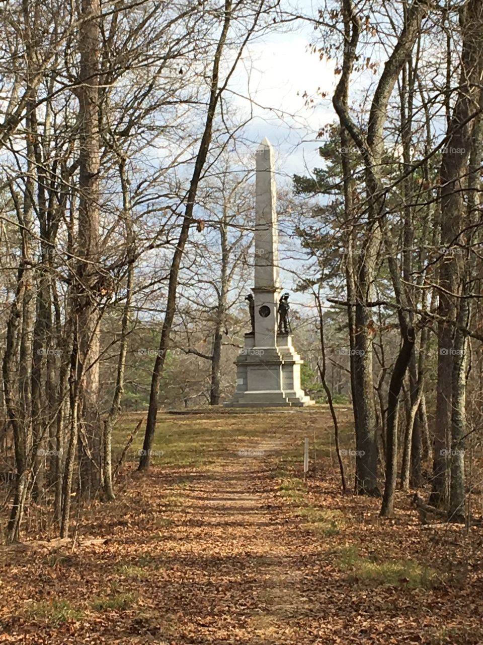 Through the Woods