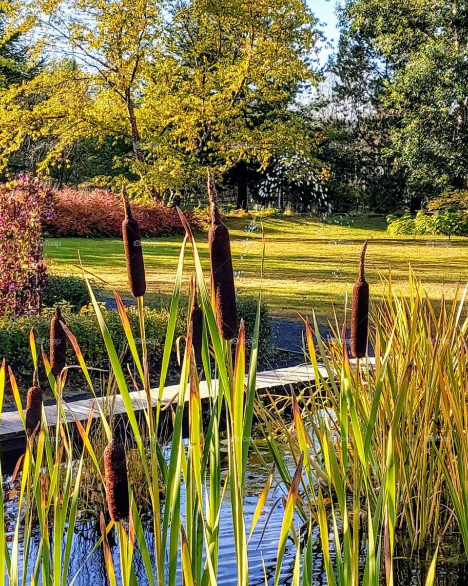 Autumn in Oulu, Finland