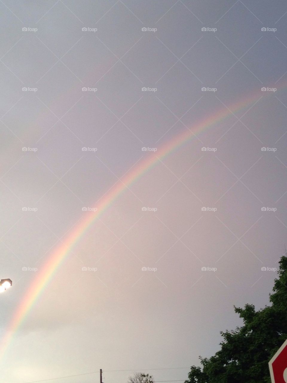 Rainbow