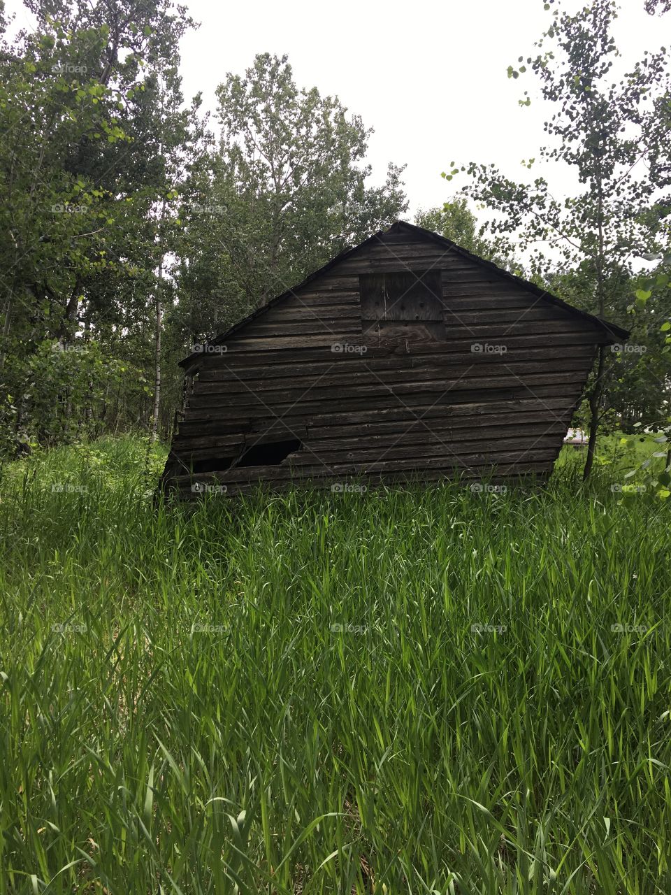 Old abandoned shed