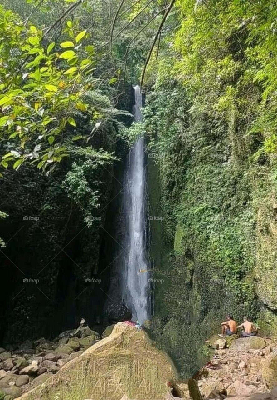 A most beautiful and attractive view in the forest.