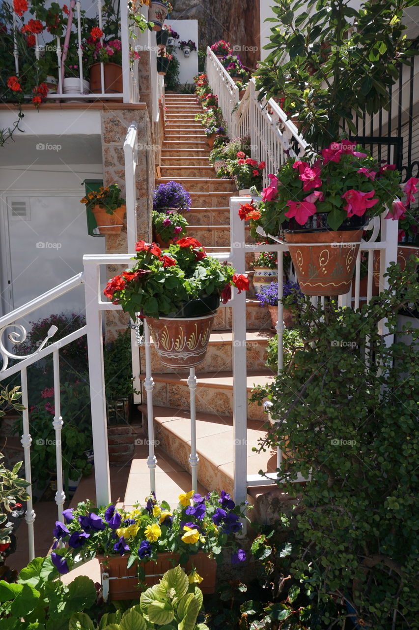 Floral Staircase