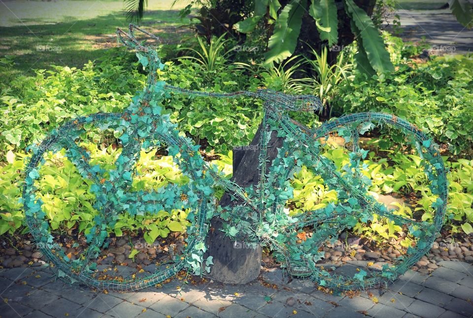 Neat plant growing on a bicycle. Beautiful Ivy plant growing and wrapping itself around a bicycle.