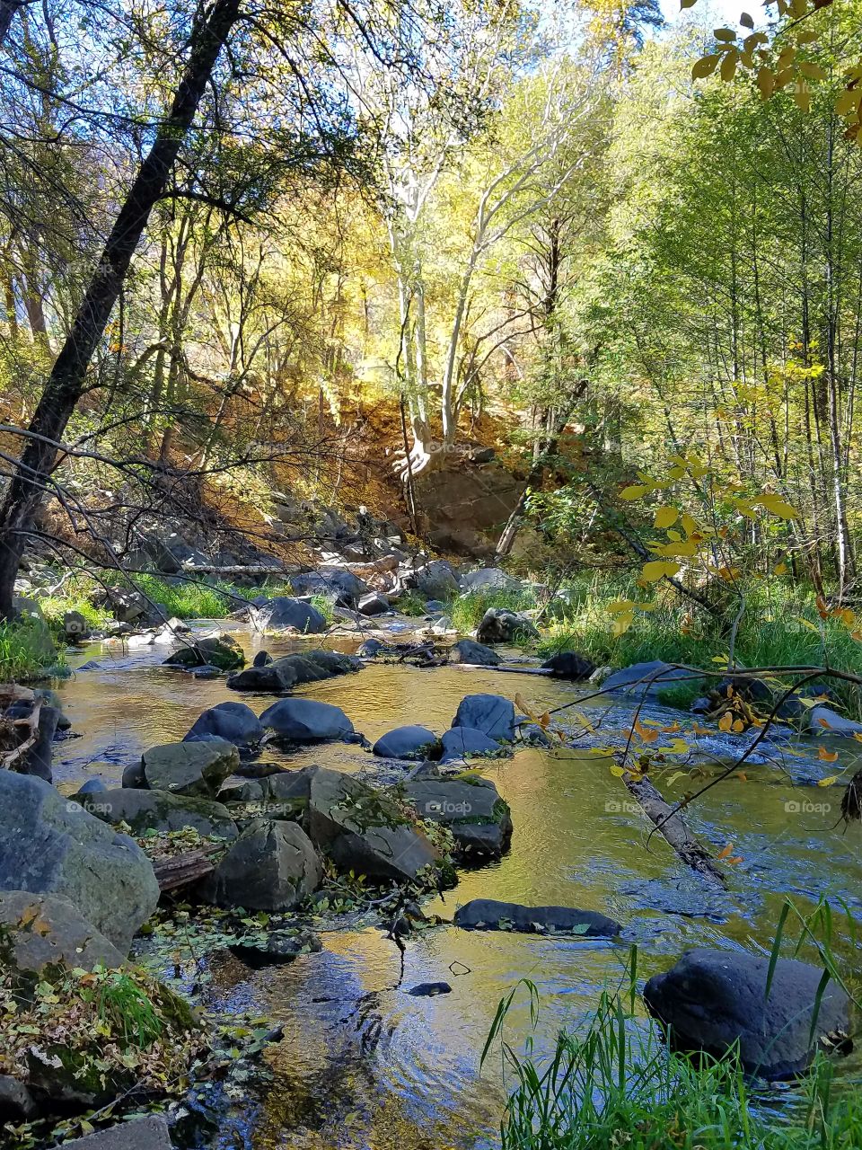Oak Creek Canyon in Sedona
