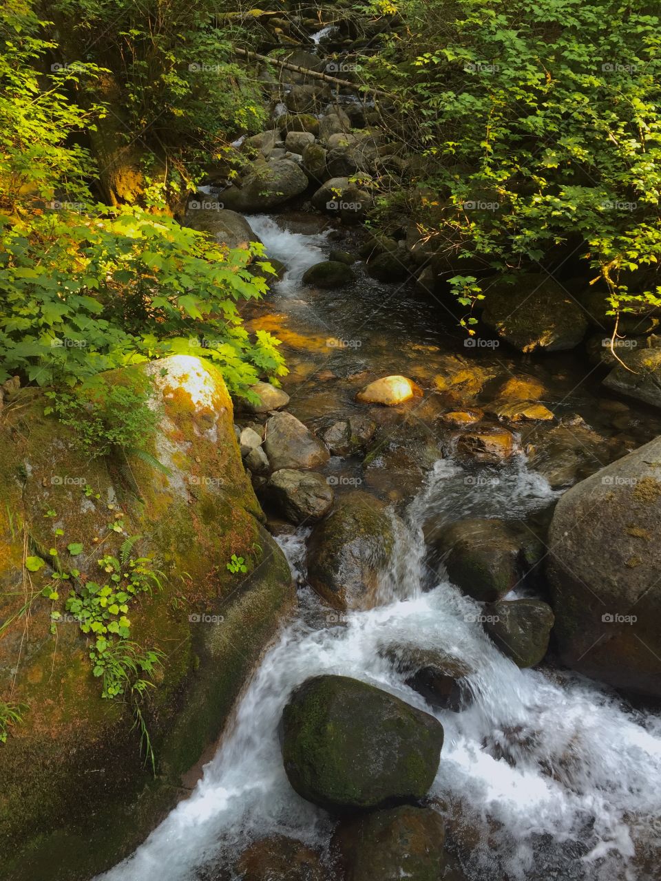 Water fall