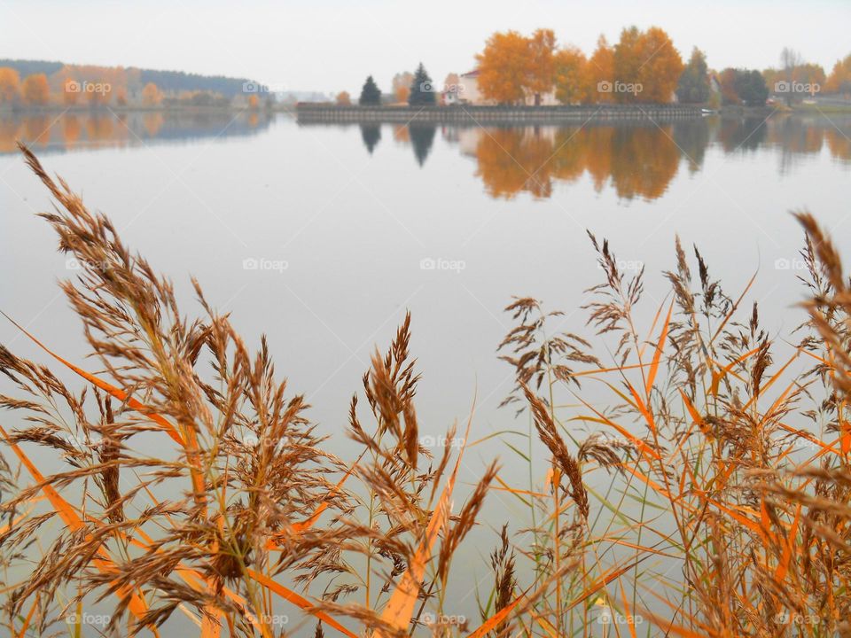 autumn lake