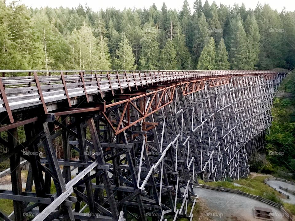 Historic train trestle - locomotive bridge