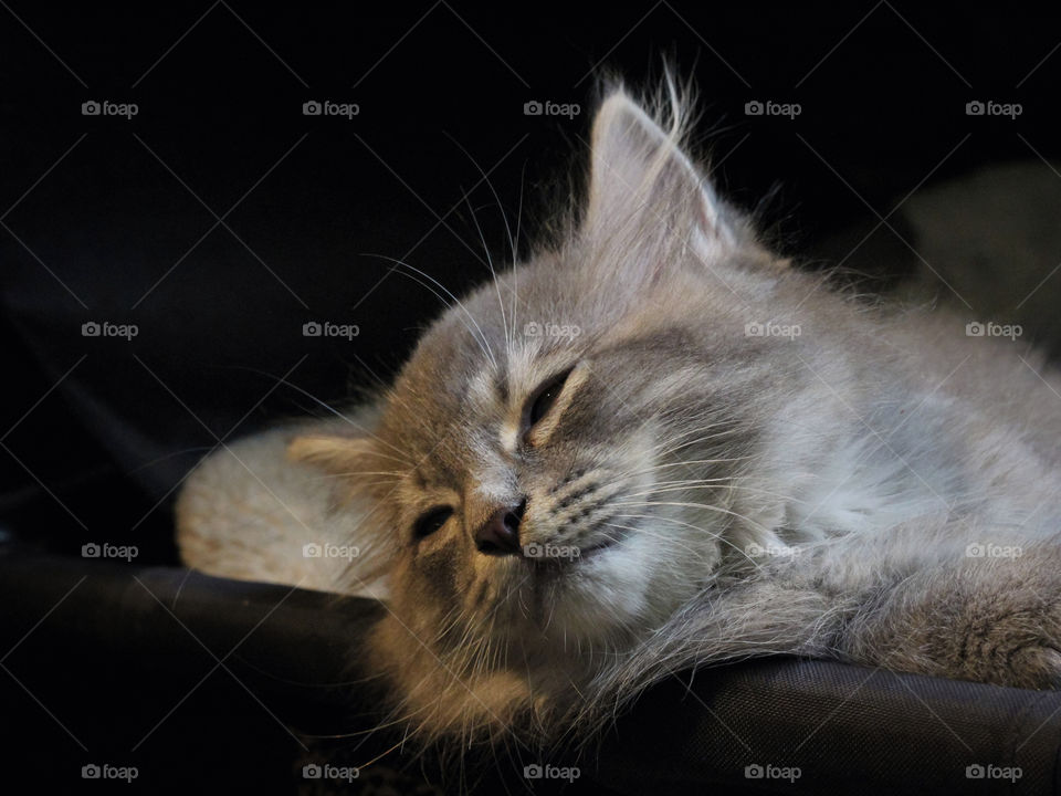 Sleeping after playing