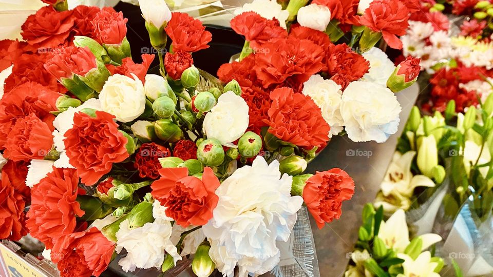 Carnations Red and White symbols of the Holiday Season. 