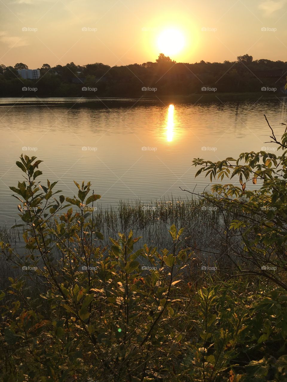 Sunrise on the river 