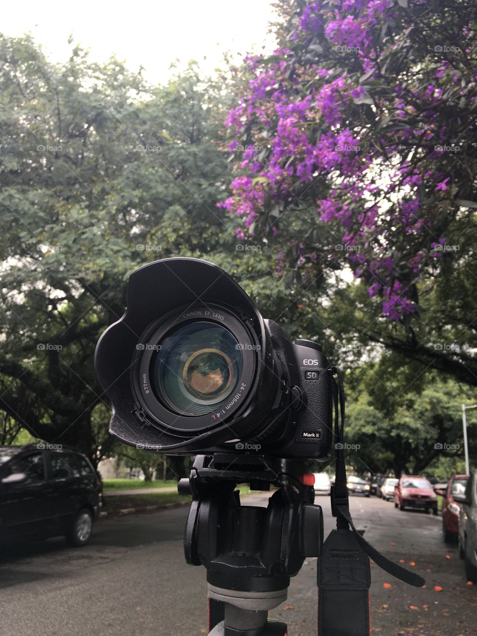 Canon 5d markii in square with point of view