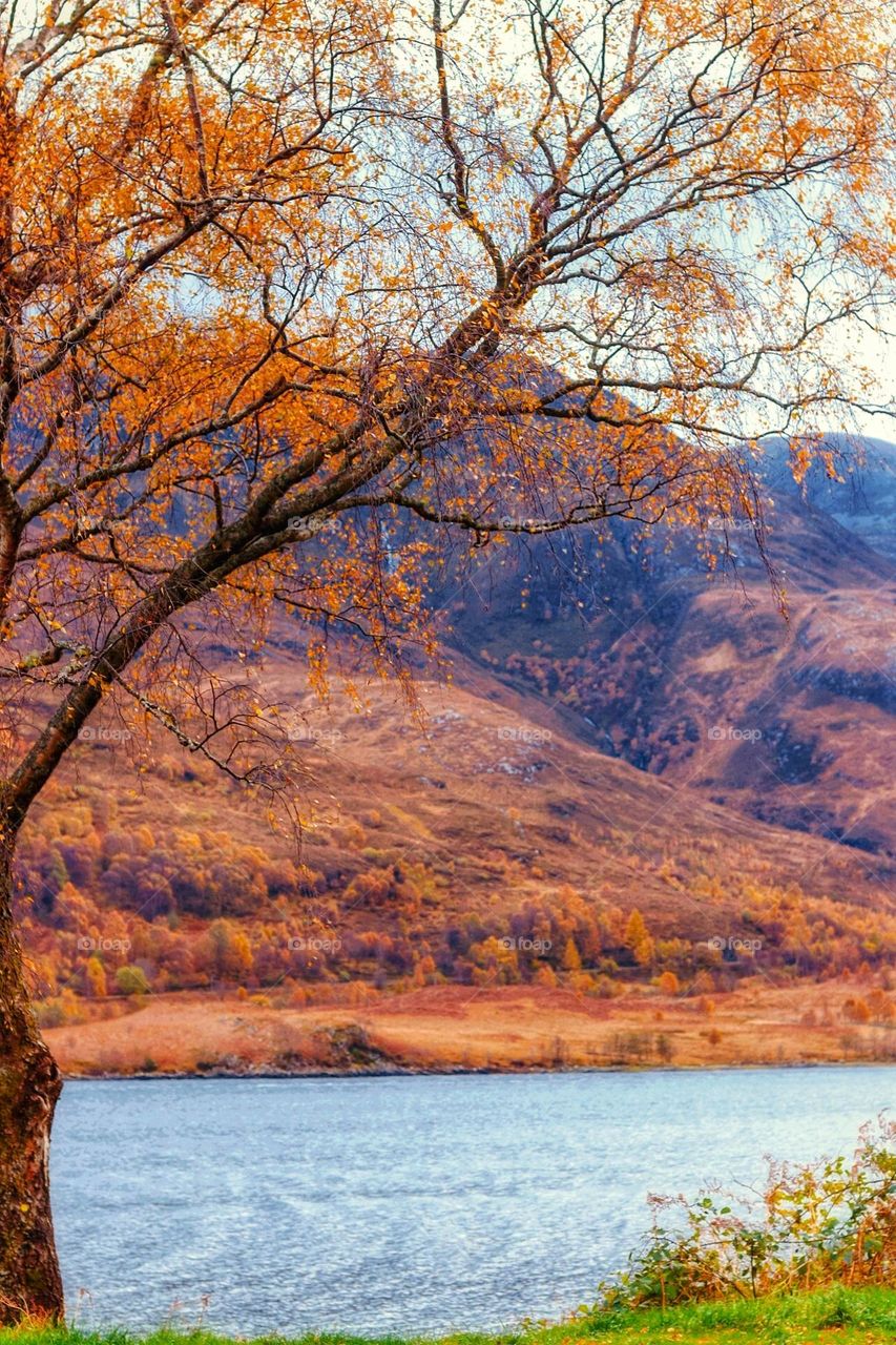Autumn loch and mountains