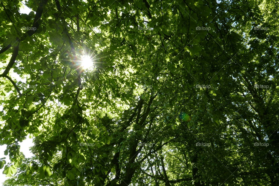 In a park in Antwerp