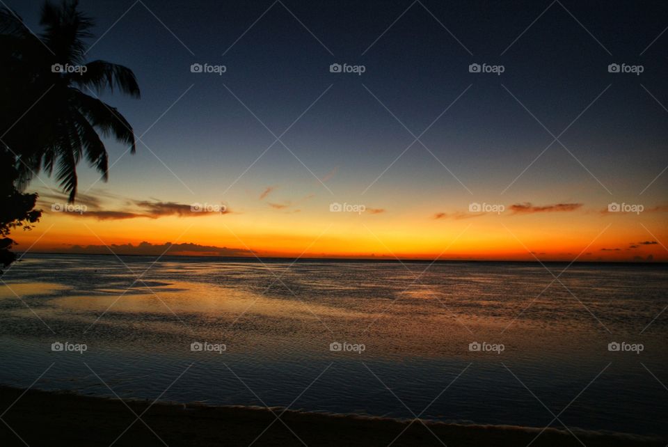 Colourful sunset over the ocean in Tahiti with silhouette of a palmtree