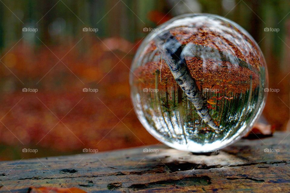 Lensball