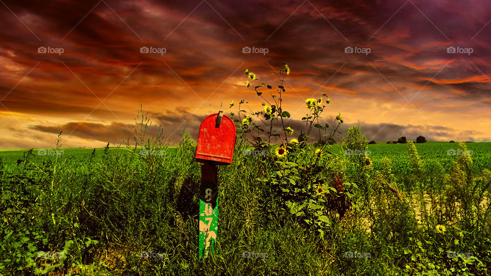 Home for some. It a dirt road mailbox with a field behind it