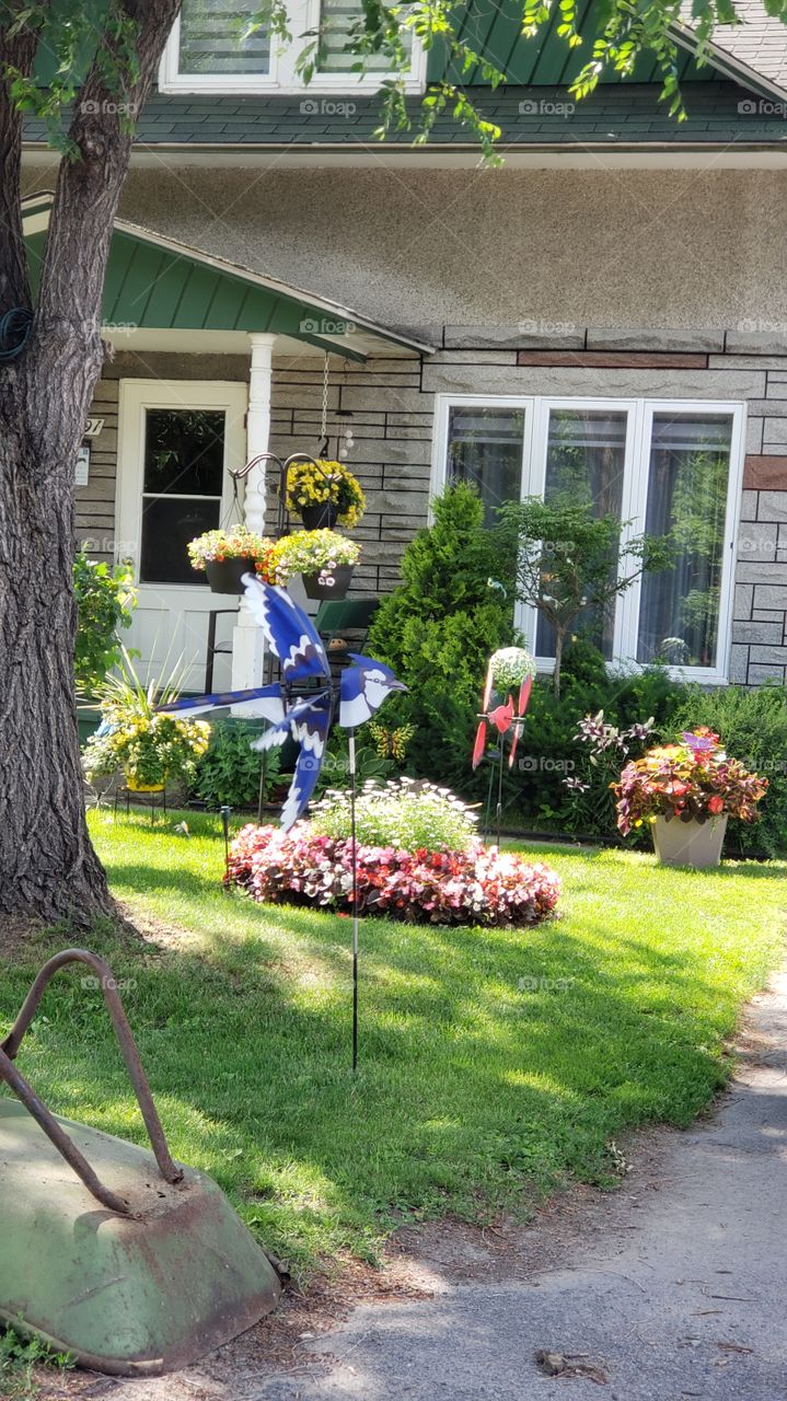 Graden in the sunny"