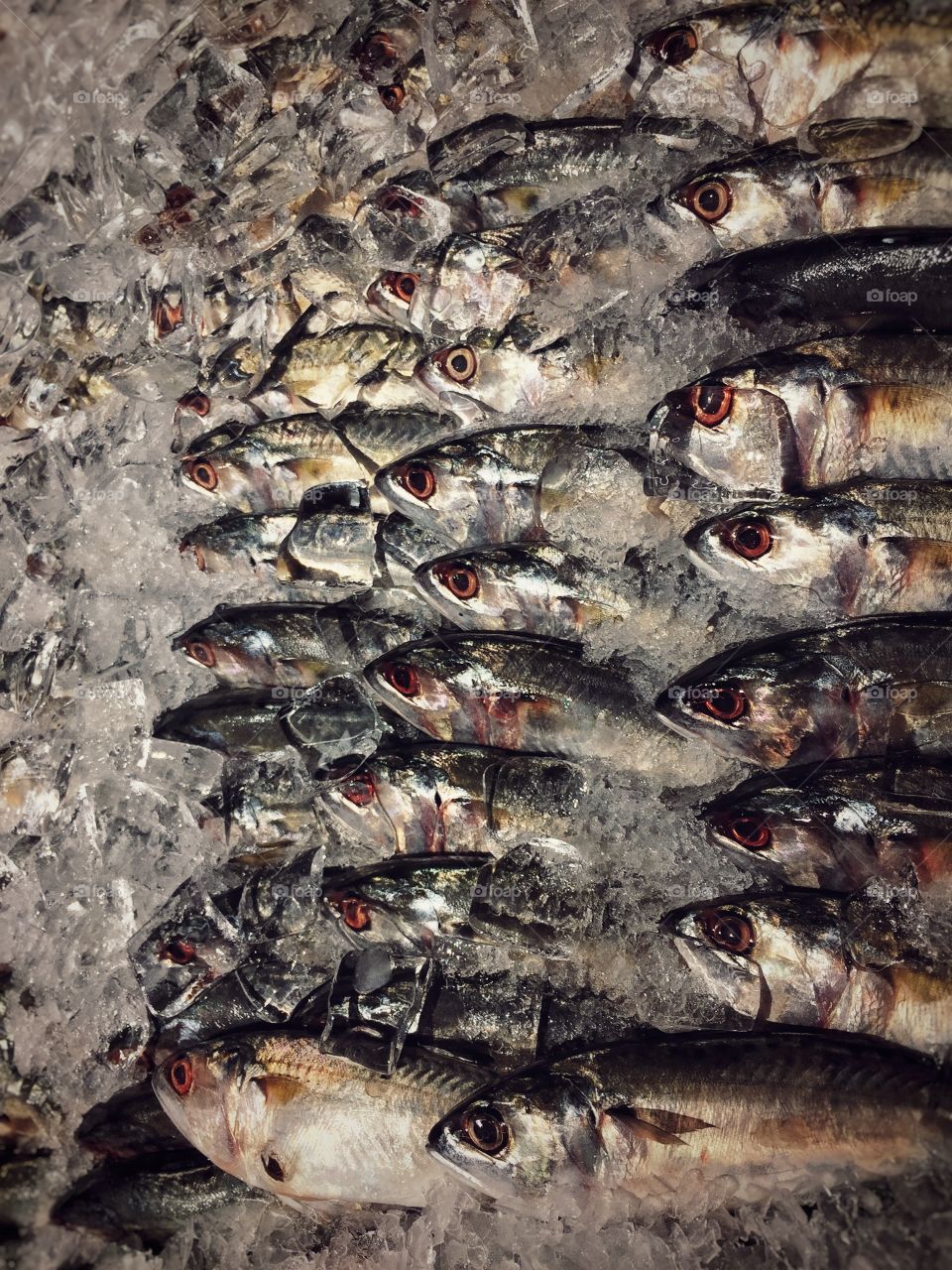 Fresh sea food on a tray.