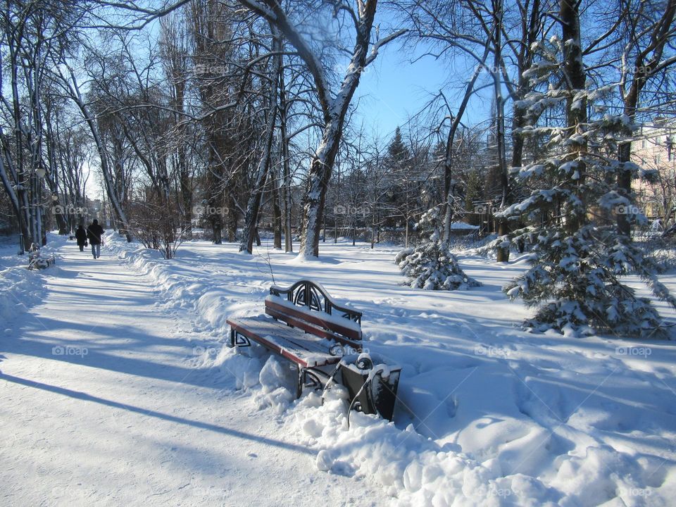 sunny winter day in the city, walk in the city park, benches in the snow