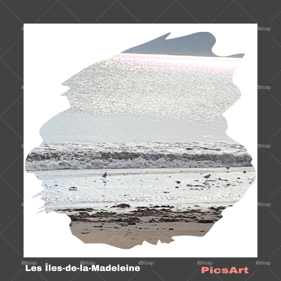 Application « PicsArt »