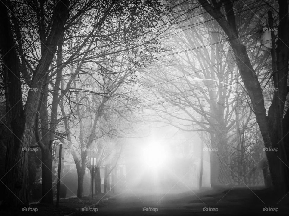 Light On A Foggy Street