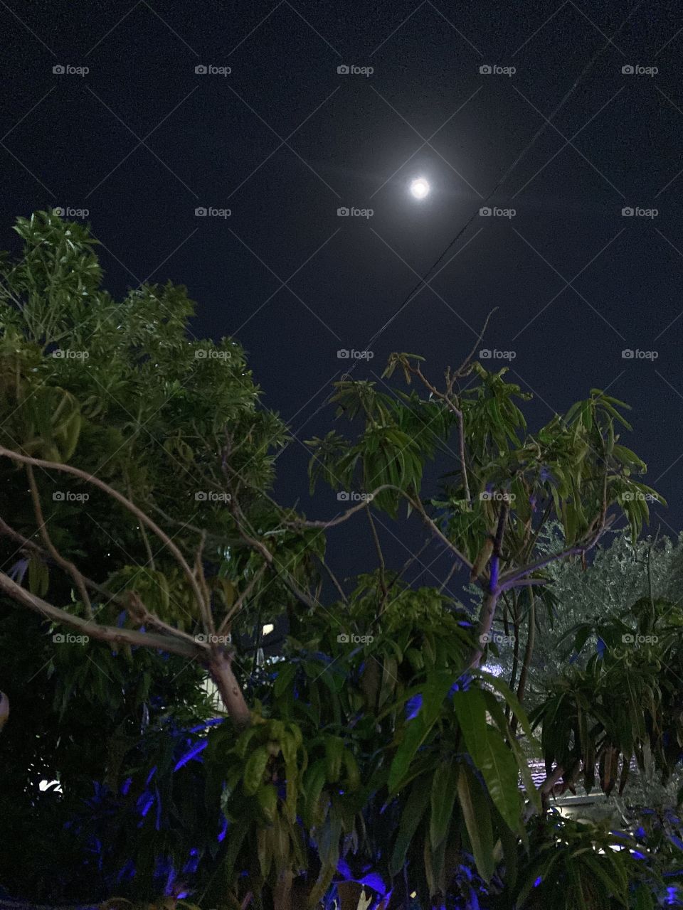 Amazing photo for home in Jeddah city 🏡