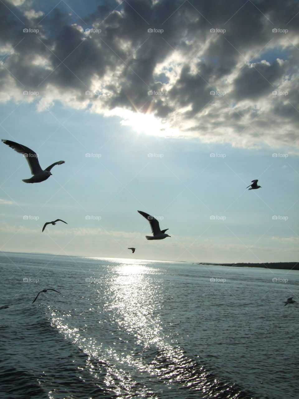 trip to Russia and Solovki-2011